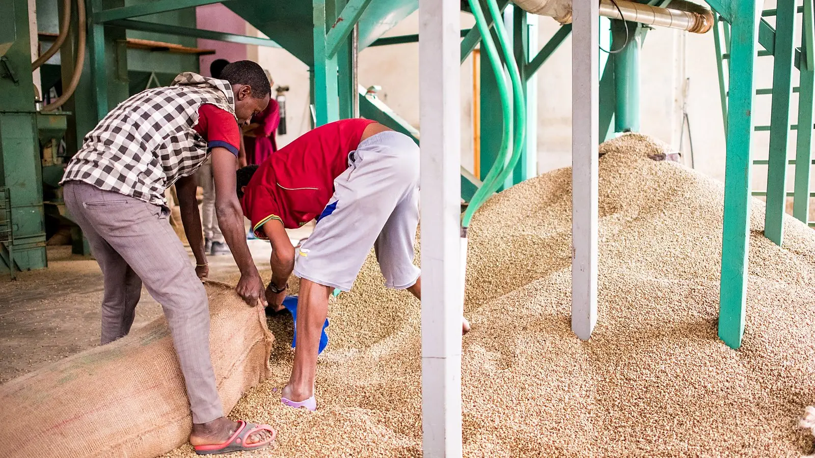 Workers moving sacks of grain at a mill